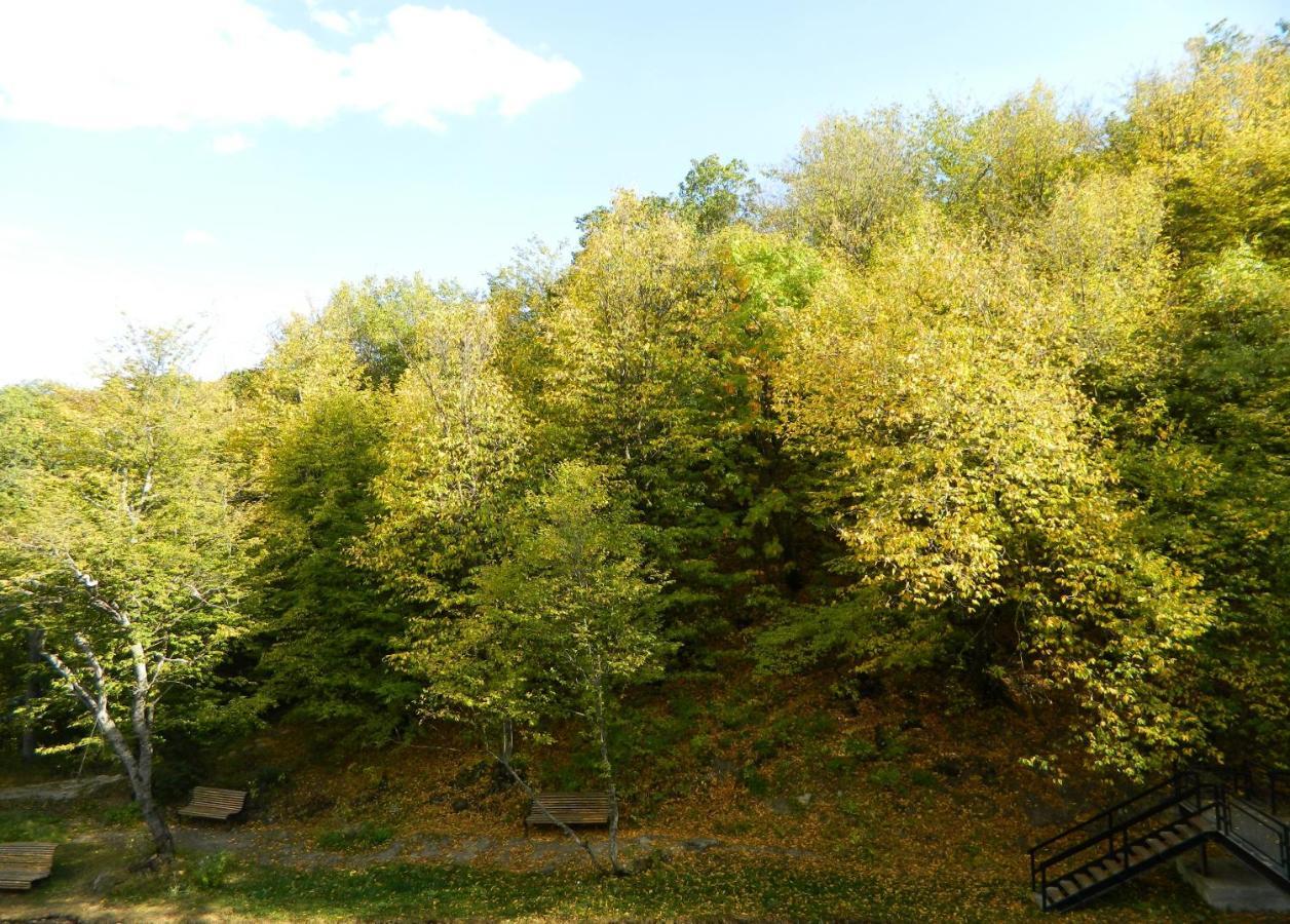 Tsaghkahovit Hotel Cachkadzor Exteriér fotografie