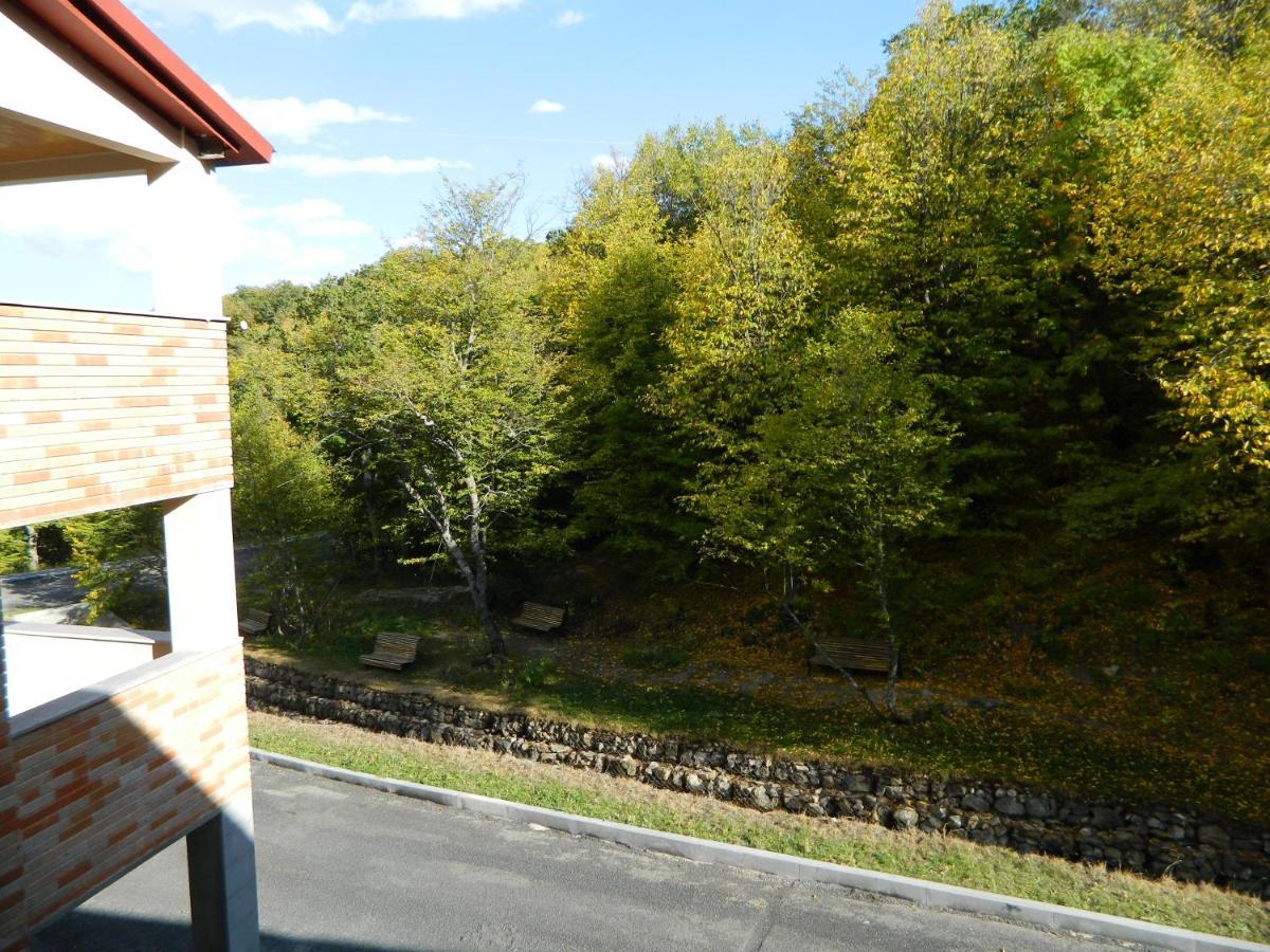 Tsaghkahovit Hotel Cachkadzor Exteriér fotografie